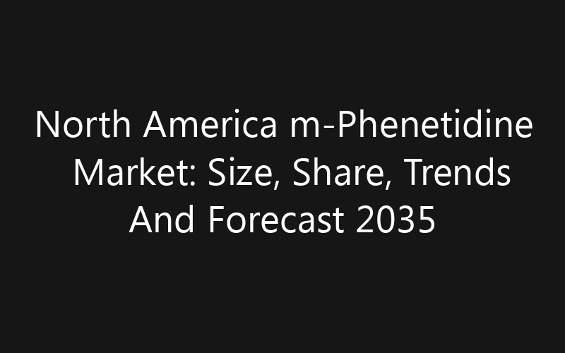 North America m-Phenetidine Market: Size, Share, Trends And Forecast 2035
