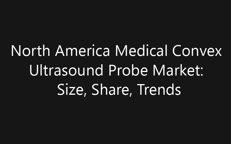 North America Medical Convex Ultrasound Probe Market: Size, Share, Trends And Forecast 2035