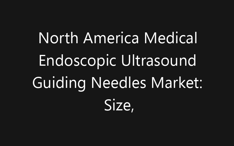 North America Medical Endoscopic Ultrasound Guiding Needles Market: Size, Share, Trends And Forecast 2035