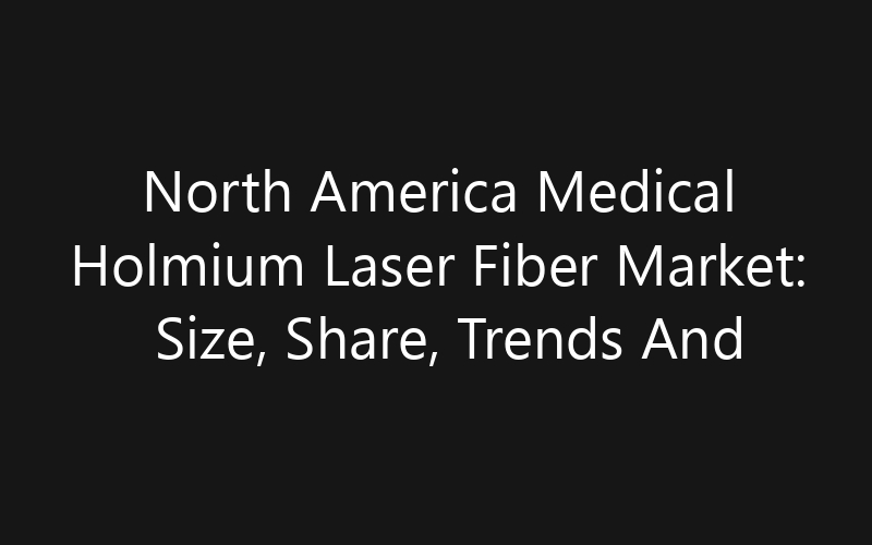 North America Medical Holmium Laser Fiber Market: Size, Share, Trends And Forecast 2035