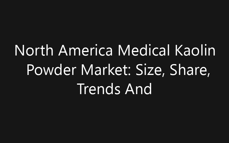North America Medical Kaolin Powder Market: Size, Share, Trends And Forecast 2035