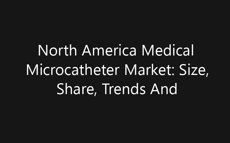 North America Medical Microcatheter Market: Size, Share, Trends And Forecast 2035