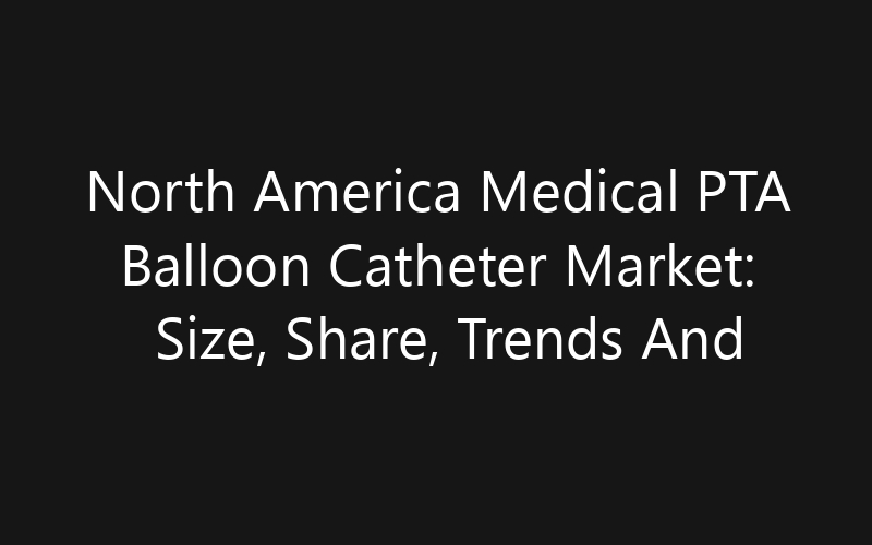 North America Medical PTA Balloon Catheter Market: Size, Share, Trends And Forecast 2035