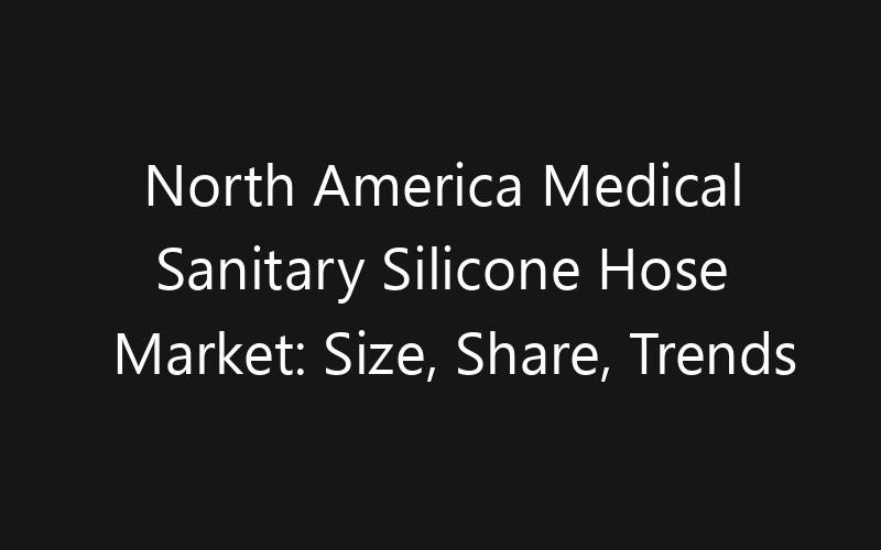 North America Medical Sanitary Silicone Hose Market: Size, Share, Trends And Forecast 2035