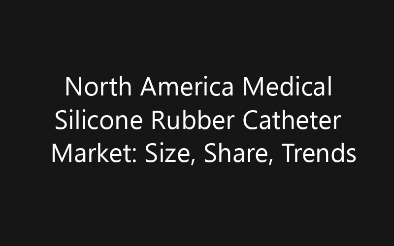 North America Medical Silicone Rubber Catheter Market: Size, Share, Trends And Forecast 2035