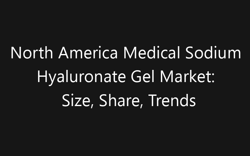 North America Medical Sodium Hyaluronate Gel Market: Size, Share, Trends And Forecast 2035