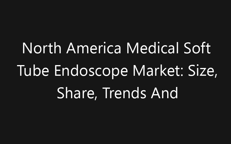 North America Medical Soft Tube Endoscope Market: Size, Share, Trends And Forecast 2035