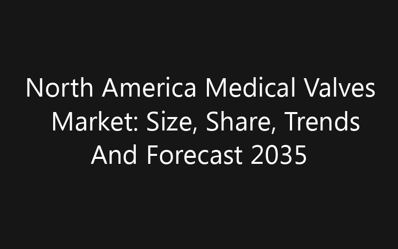 North America Medical Valves Market: Size, Share, Trends And Forecast 2035