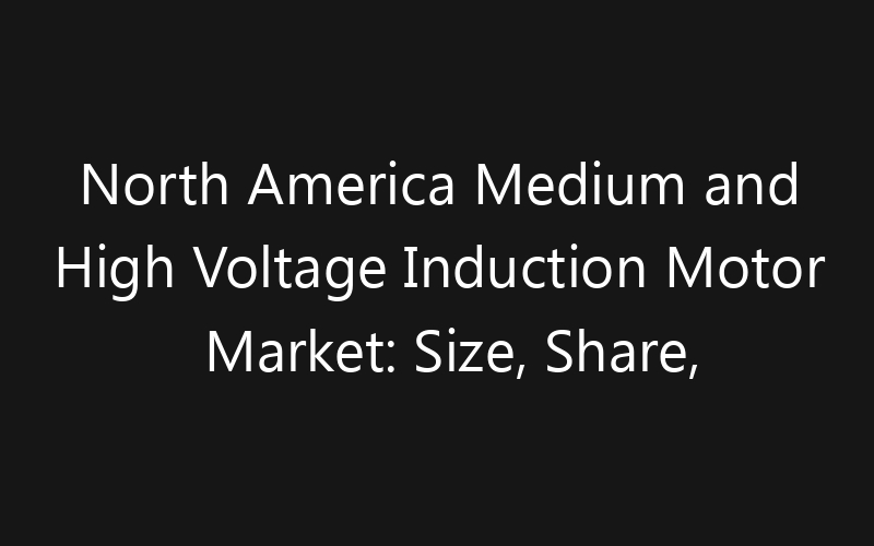 North America Medium and High Voltage Induction Motor Market: Size, Share, Trends And Forecast 2035