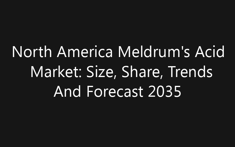 North America Meldrum’s Acid Market: Size, Share, Trends And Forecast 2035