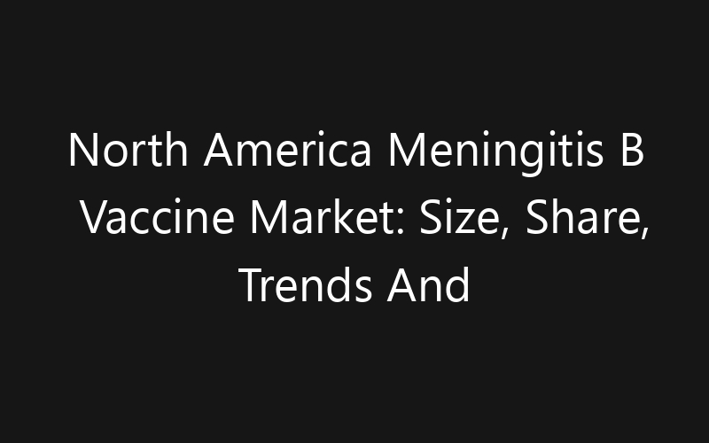 North America Meningitis B Vaccine Market: Size, Share, Trends And Forecast 2035