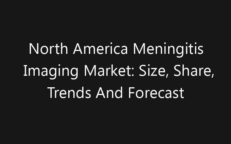 North America Meningitis Imaging Market: Size, Share, Trends And Forecast 2035