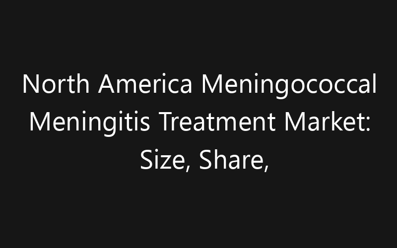 North America Meningococcal Meningitis Treatment Market: Size, Share, Trends And Forecast 2035