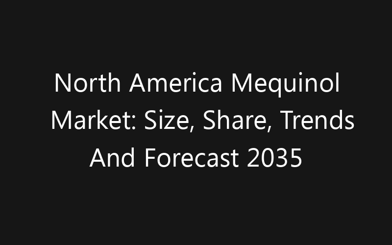 North America Mequinol Market: Size, Share, Trends And Forecast 2035