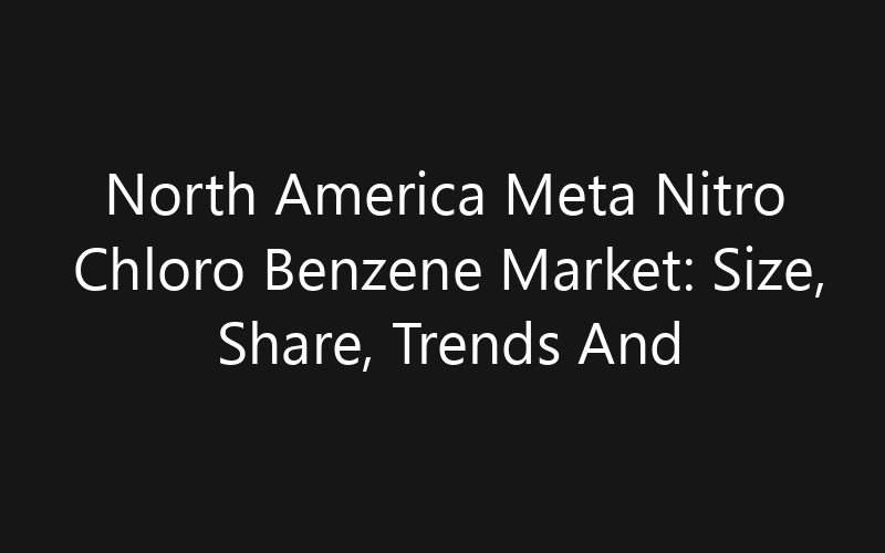 North America Meta Nitro Chloro Benzene Market: Size, Share, Trends And Forecast 2035