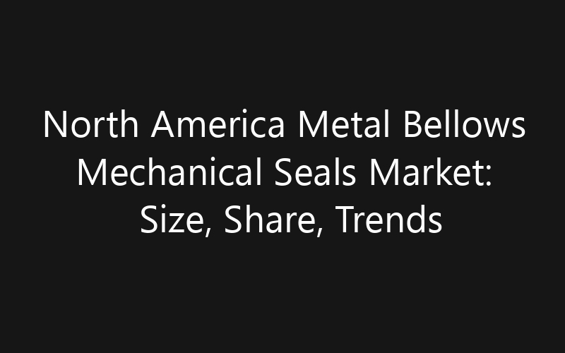 North America Metal Bellows Mechanical Seals Market: Size, Share, Trends And Forecast 2035