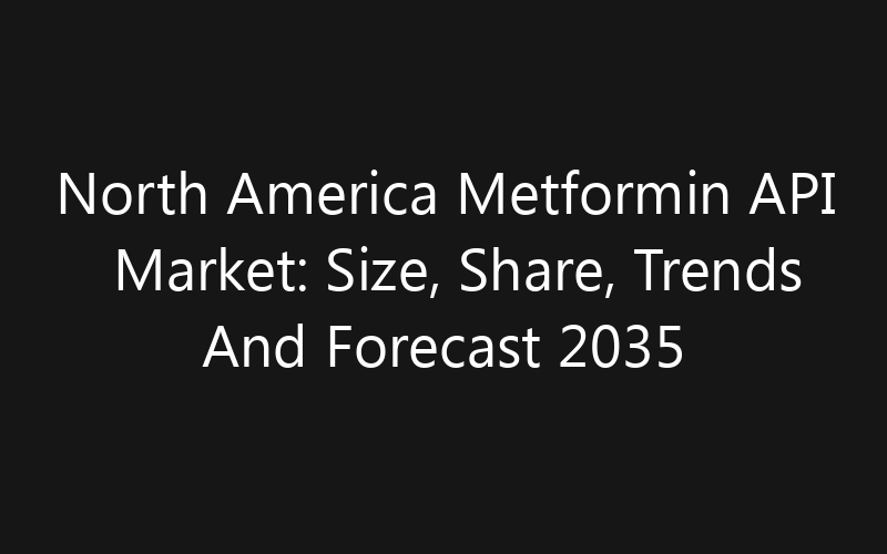 North America Metformin API Market: Size, Share, Trends And Forecast 2035