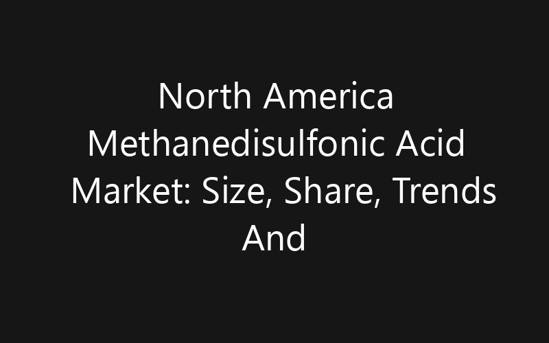 North America Methanedisulfonic Acid Market: Size, Share, Trends And Forecast 2035