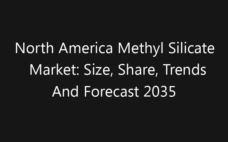 North America Methyl Silicate Market: Size, Share, Trends And Forecast 2035