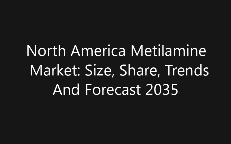 North America Metilamine Market: Size, Share, Trends And Forecast 2035