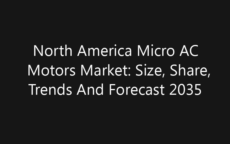 North America Micro AC Motors Market: Size, Share, Trends And Forecast 2035