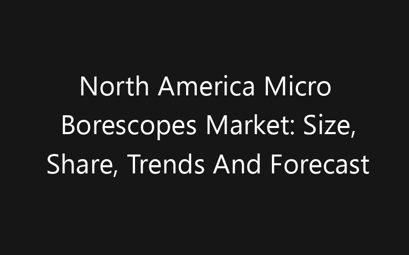 North America Micro Borescopes Market: Size, Share, Trends And Forecast 2035