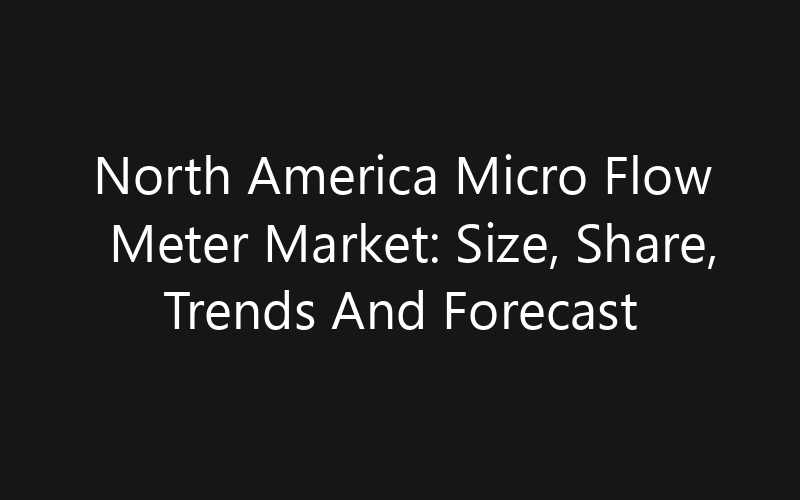 North America Micro Flow Meter Market: Size, Share, Trends And Forecast 2035