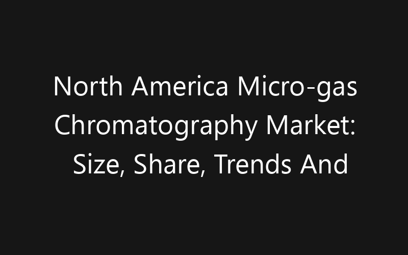 North America Micro-gas Chromatography Market: Size, Share, Trends And Forecast 2035