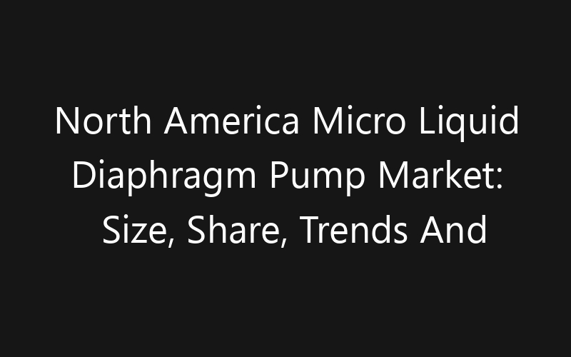 North America Micro Liquid Diaphragm Pump Market: Size, Share, Trends And Forecast 2035