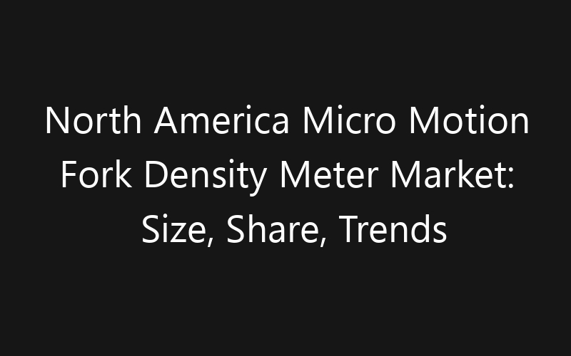North America Micro Motion Fork Density Meter Market: Size, Share, Trends And Forecast 2035