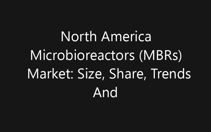 North America Microbioreactors (MBRs) Market: Size, Share, Trends And Forecast 2035