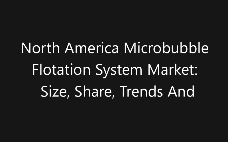 North America Microbubble Flotation System Market: Size, Share, Trends And Forecast 2035