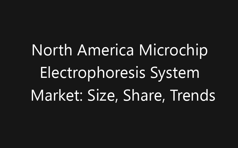 North America Microchip Electrophoresis System Market: Size, Share, Trends And Forecast 2035