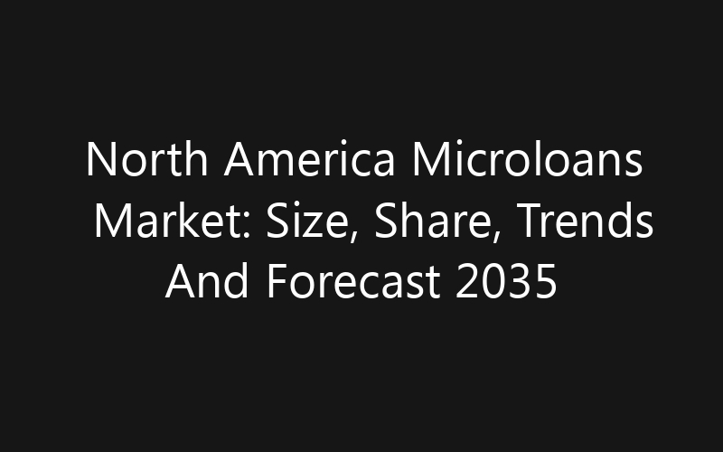 North America Microloans Market: Size, Share, Trends And Forecast 2035