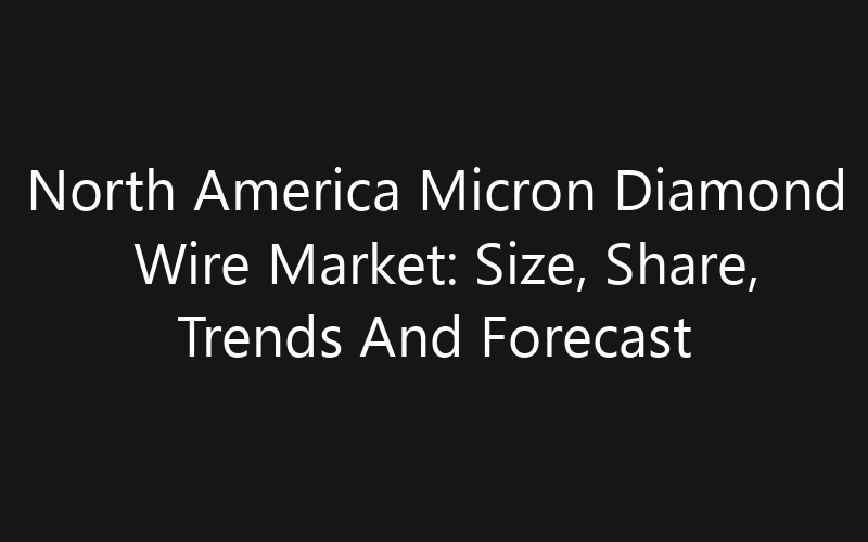 North America Micron Diamond Wire Market: Size, Share, Trends And Forecast 2035