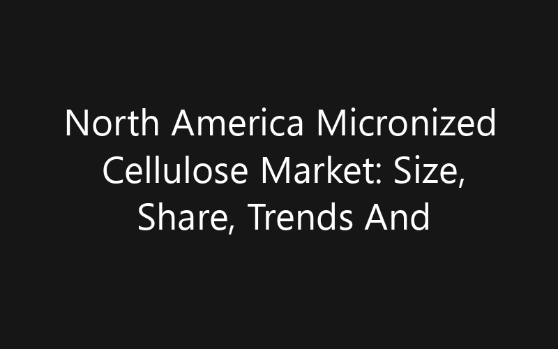 North America Micronized Cellulose Market: Size, Share, Trends And Forecast 2035