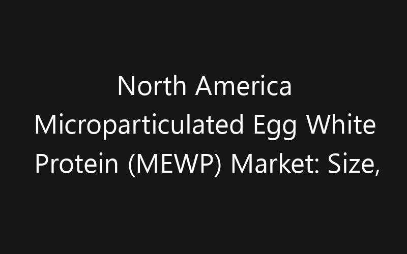North America Microparticulated Egg White Protein (MEWP) Market: Size, Share, Trends And Forecast 2035