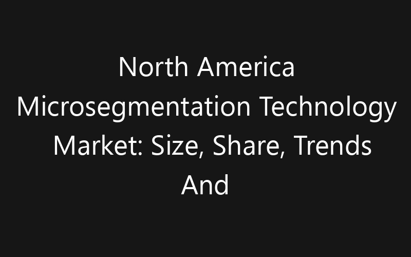 North America Microsegmentation Technology Market: Size, Share, Trends And Forecast 2035