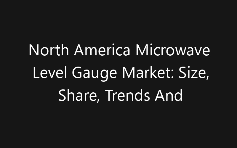 North America Microwave Level Gauge Market: Size, Share, Trends And Forecast 2035