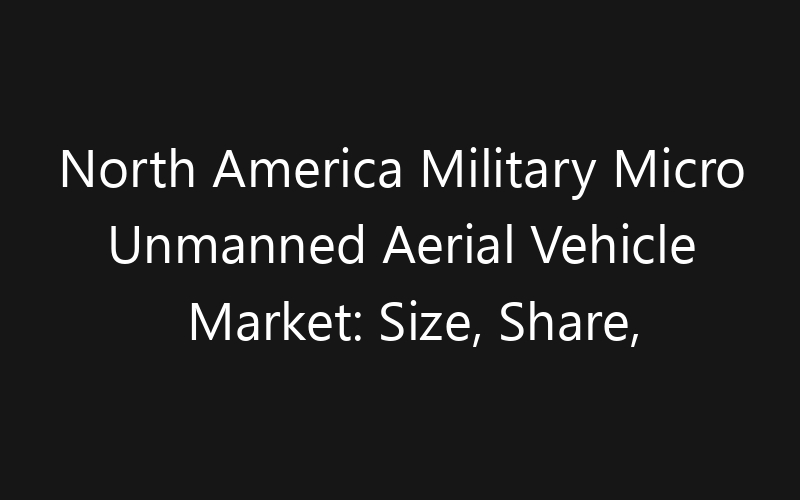 North America Military Micro Unmanned Aerial Vehicle Market: Size, Share, Trends And Forecast 2035