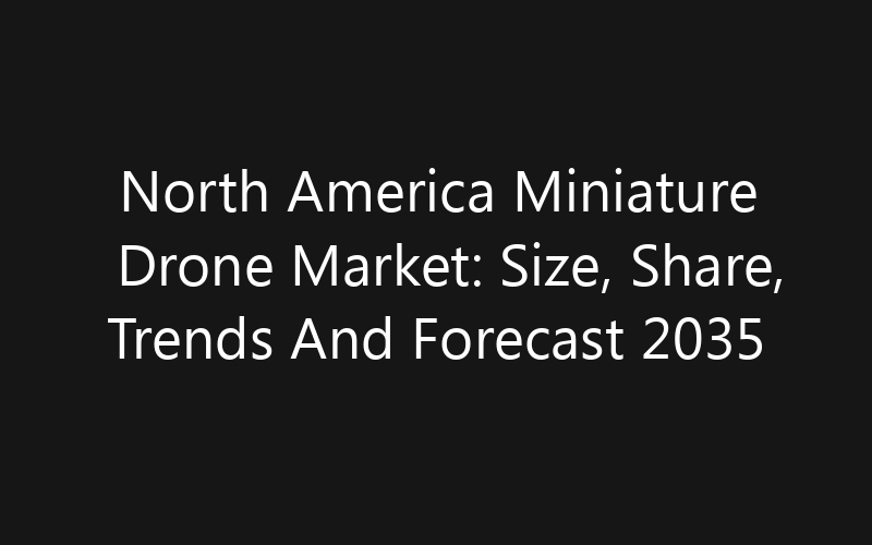 North America Miniature Drone Market: Size, Share, Trends And Forecast 2035