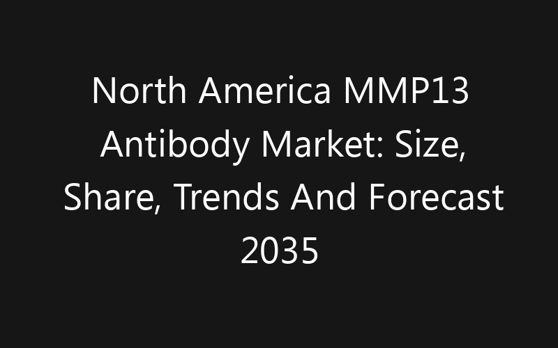 North America MMP13 Antibody Market: Size, Share, Trends And Forecast 2035