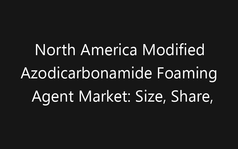North America Modified Azodicarbonamide Foaming Agent Market: Size, Share, Trends And Forecast 2035