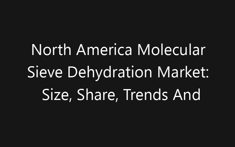North America Molecular Sieve Dehydration Market: Size, Share, Trends And Forecast 2035