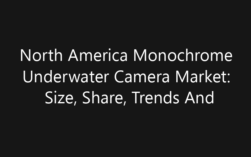 North America Monochrome Underwater Camera Market: Size, Share, Trends And Forecast 2035