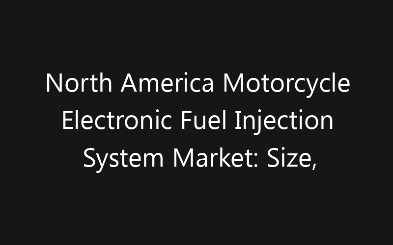 North America Motorcycle Electronic Fuel Injection System Market: Size, Share, Trends And Forecast 2035
