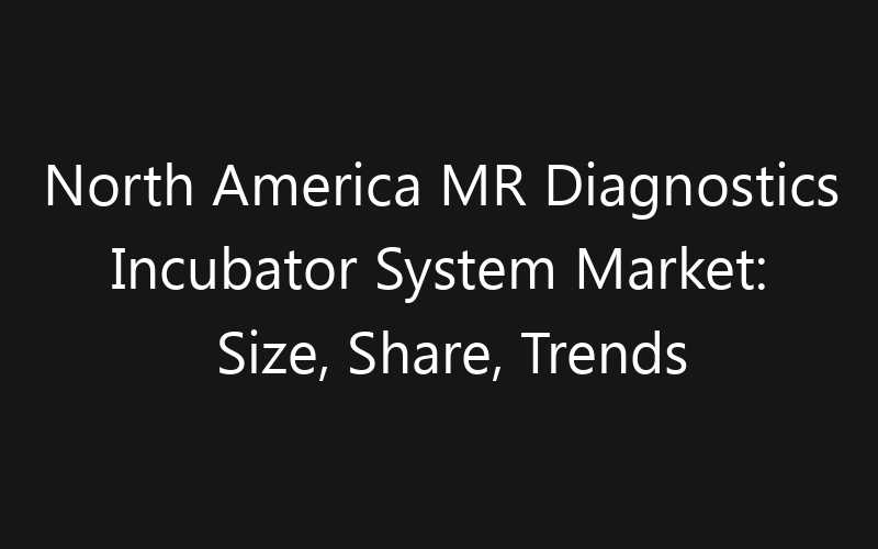 North America MR Diagnostics Incubator System Market: Size, Share, Trends And Forecast 2035