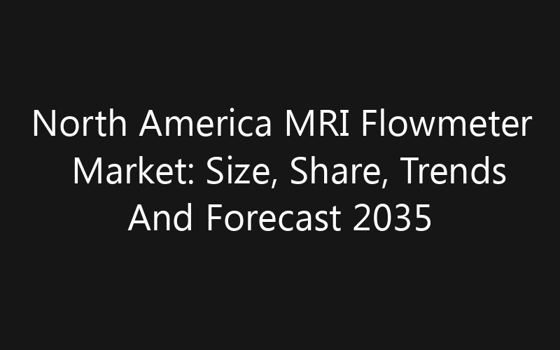 North America MRI Flowmeter Market: Size, Share, Trends And Forecast 2035