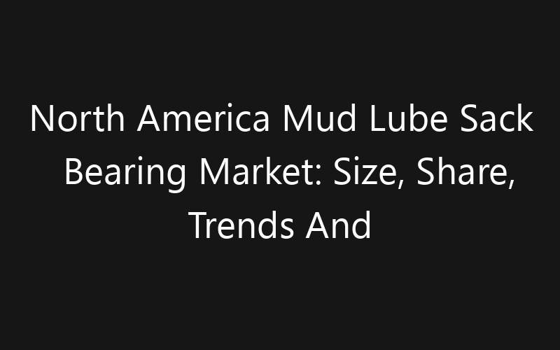 North America Mud Lube Sack Bearing Market: Size, Share, Trends And Forecast 2035