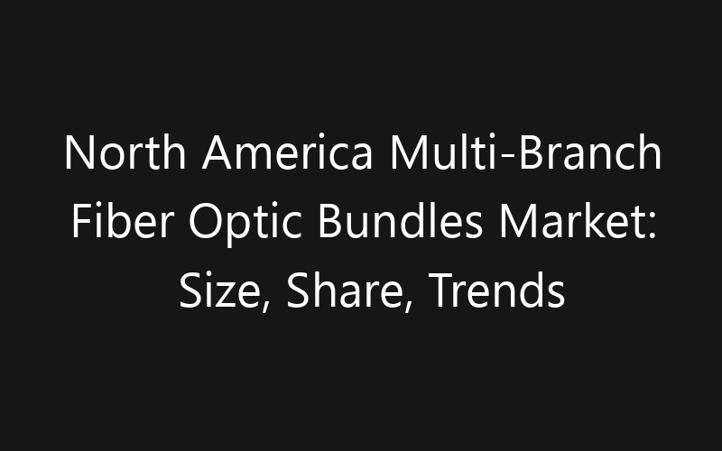 North America Multi-Branch Fiber Optic Bundles Market: Size, Share, Trends And Forecast 2035